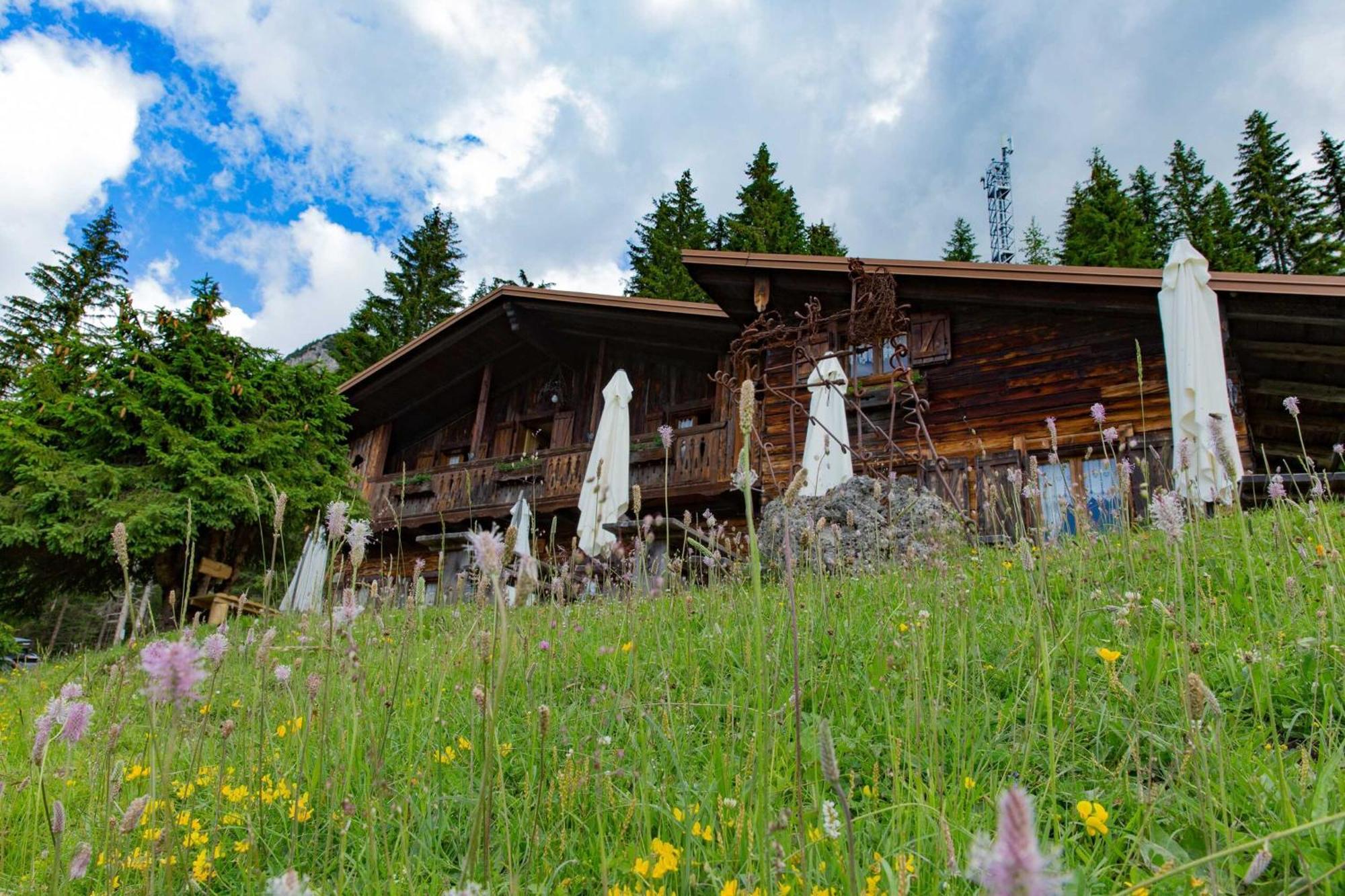 Hotel Rifugio Forcella Zovo San Pietro di Cadore Exteriér fotografie